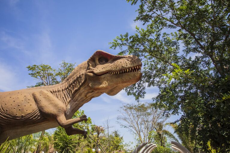 Vale dos dinossauros